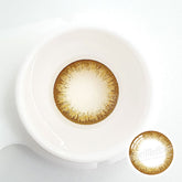 Pointe Brown Colored Contact Lenses
